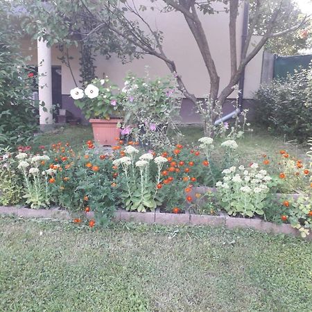 Kuca Za Odmor Bajtica Villa Jesenovec Exterior foto