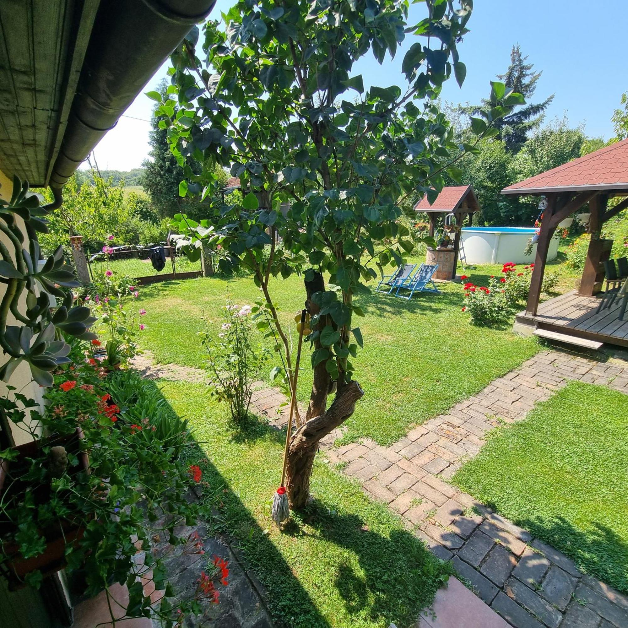 Kuca Za Odmor Bajtica Villa Jesenovec Exterior foto