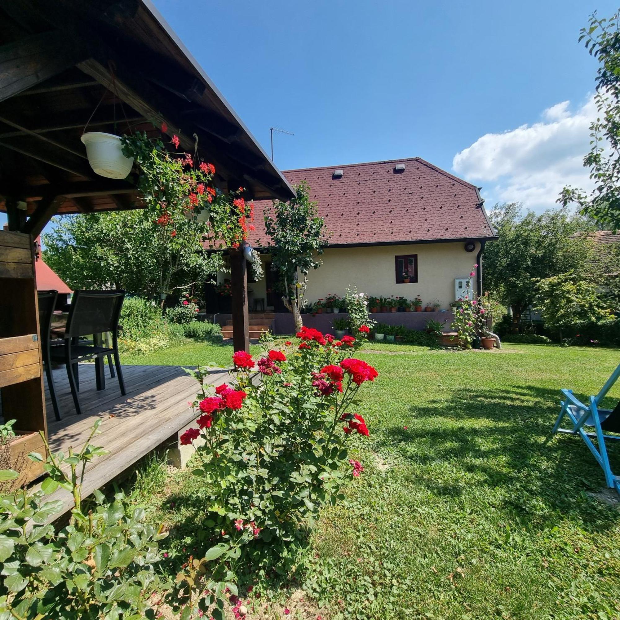 Kuca Za Odmor Bajtica Villa Jesenovec Exterior foto