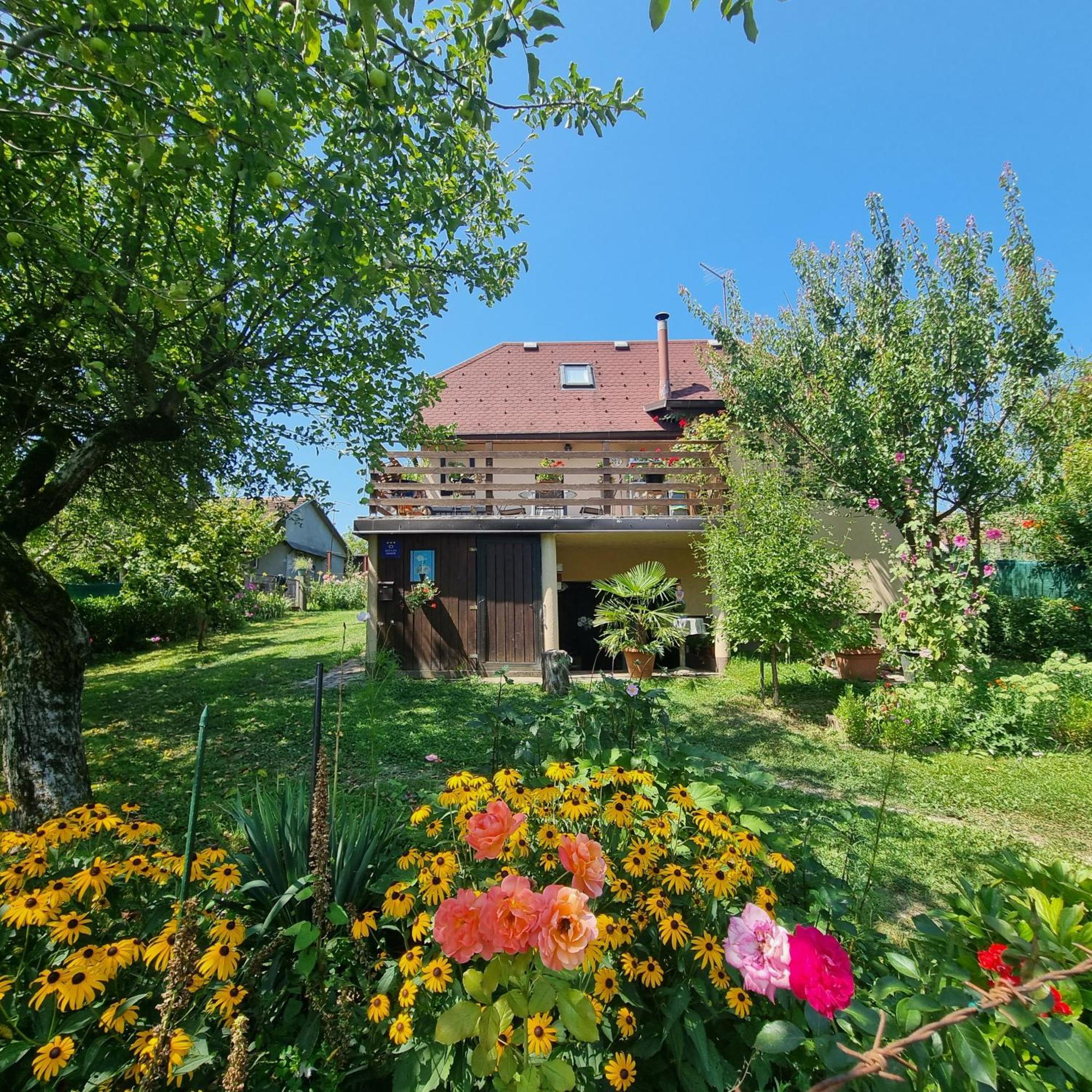 Kuca Za Odmor Bajtica Villa Jesenovec Exterior foto