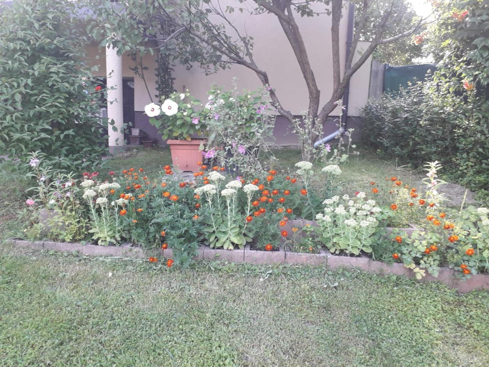 Kuca Za Odmor Bajtica Villa Jesenovec Exterior foto